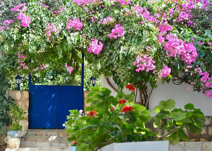 Miramar Pensionat Kaş