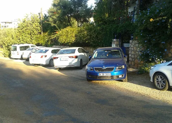 Guest house Miramar 4*