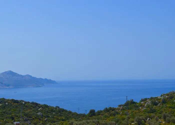 Miramar Guest house 4*